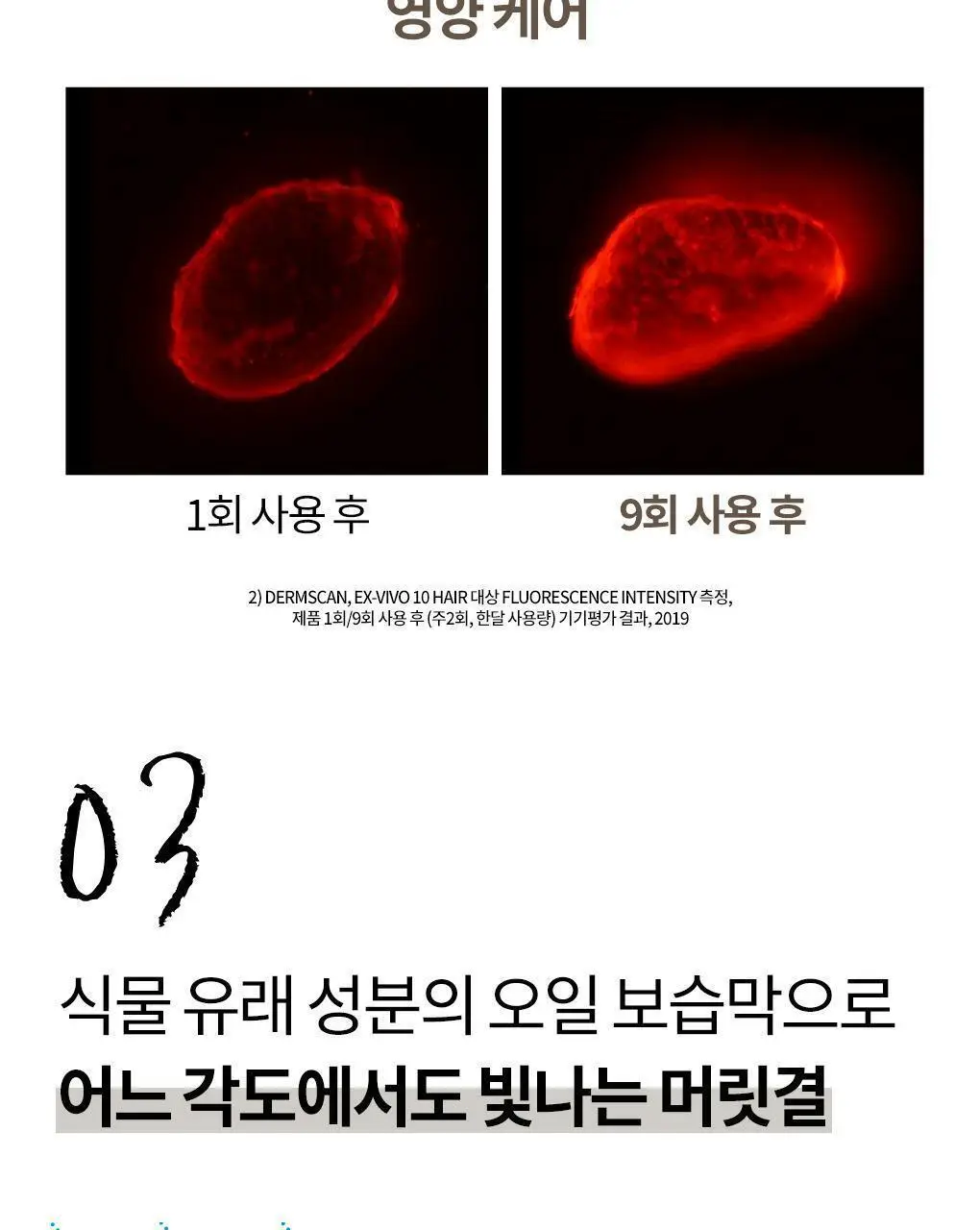 [극손상모발 & 스타일링] 클로란 쿠푸아수 버터 리페어 샴푸 400ml 상세페이지 9